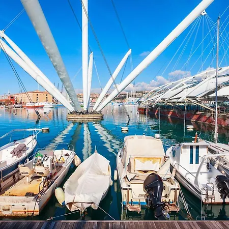 Graceful Center - Happy *