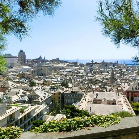 Graceful Center - Happy Genoa